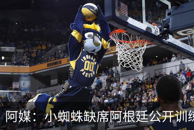 阿媒：小蜘蛛缺席阿根廷公开训练，他可能在第二场友谊赛中出场